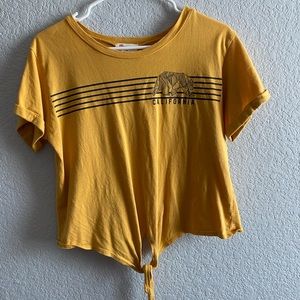 French Pastry crop tie with front tie